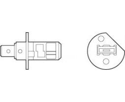 Bec H1 12V 55W P14,5s PLUS 50